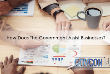 How Does Government Assist Business?