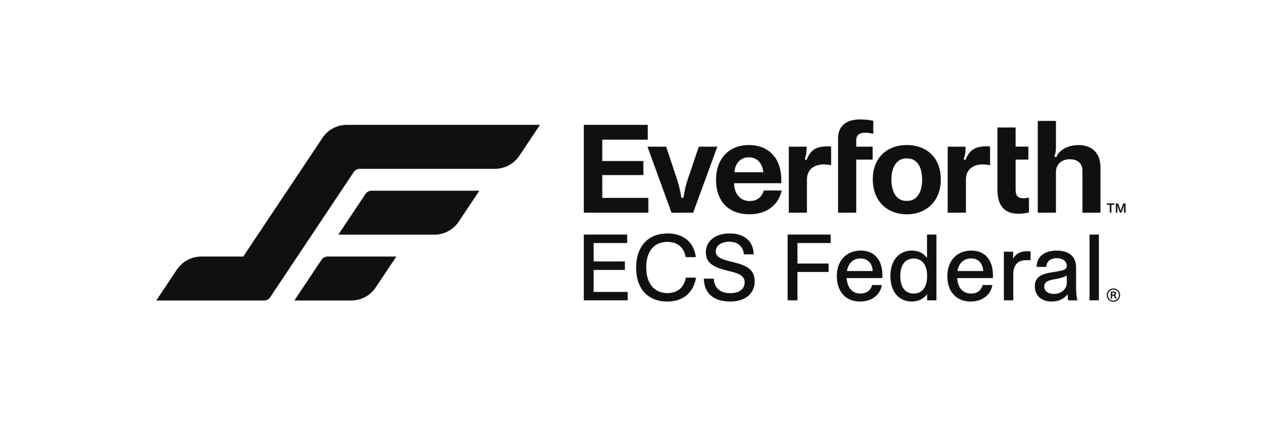 Everforth ECS Federal, LLC company logo